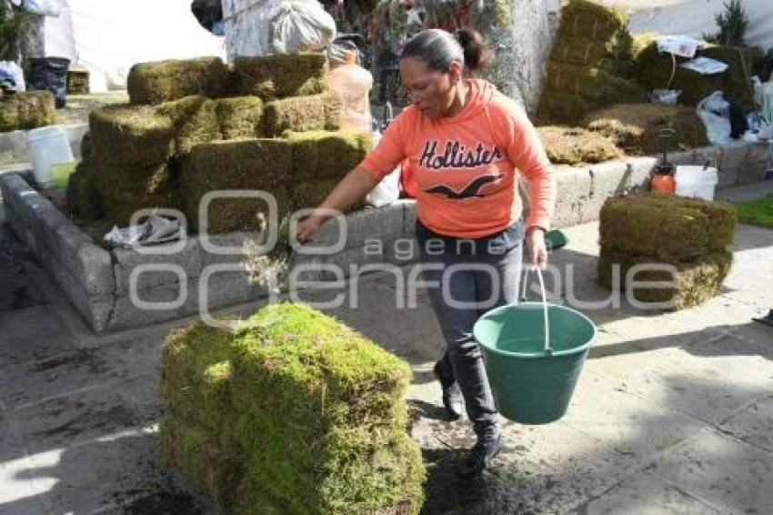 TLAXCALA . PRODUCTOS NAVIDEÑOS