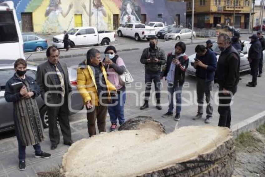 EL ALTO . PALMERAS