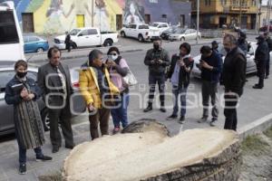 EL ALTO . PALMERAS