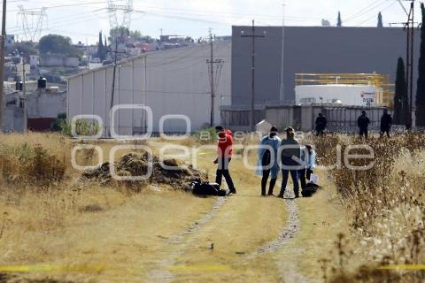 NOTA ROJA . BARRANCA HONDA