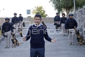 AYUNTAMIENTO . ELEMENTOS CANINOS