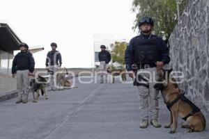 AYUNTAMIENTO . ELEMENTOS CANINOS