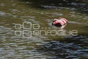 TLAXCALA . RÍO ATOYAC - ZAHUAPAN