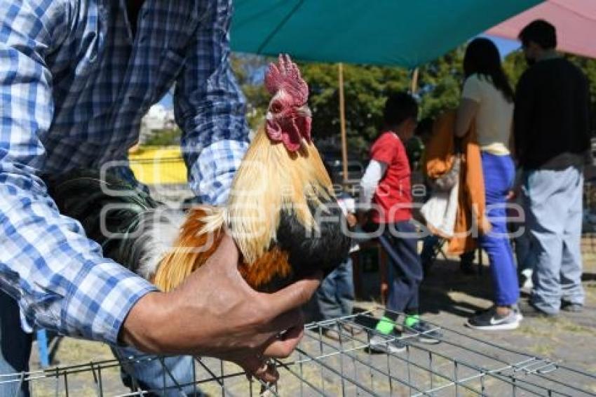 TLAXCALA . VENTA DE GANADO