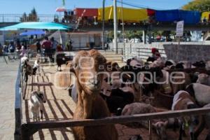 TLAXCALA . VENTA DE GANADO