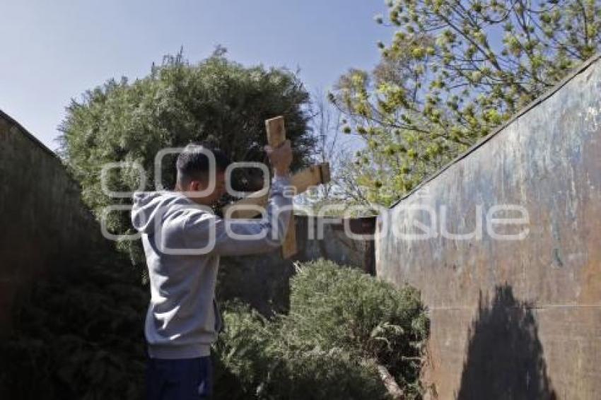 RECICLAJE . ÁRBOLES DE NAVIDAD