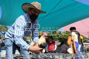 TLAXCALA . VENTA DE GANADO