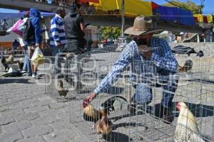 TLAXCALA . VENTA DE GANADO