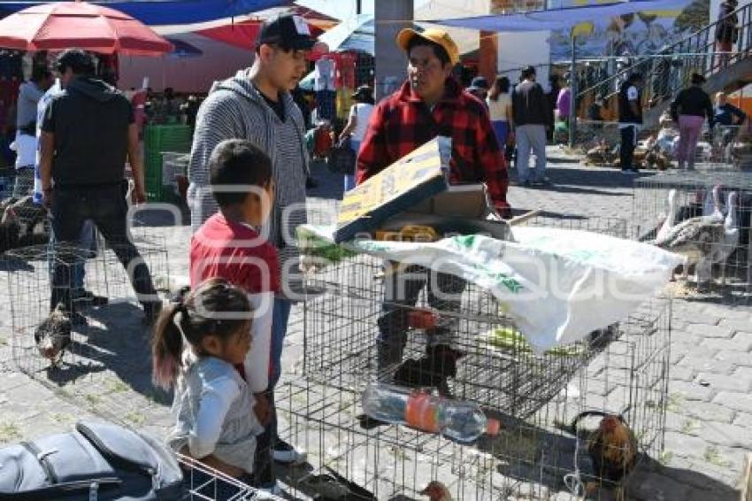 TLAXCALA . VENTA DE GANADO