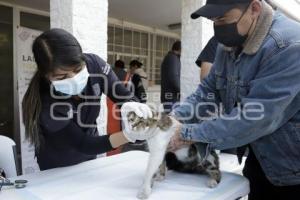 MARTES CIUDADANO . BIENESTAR ANIMAL