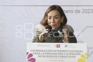 GOBIERNO ESTATAL . PREVENCIÓN DE INCENDIOS