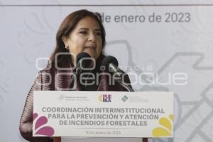 GOBIERNO ESTATAL . PREVENCIÓN DE INCENDIOS