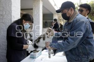 MARTES CIUDADANO . BIENESTAR ANIMAL