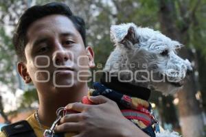 TLAXCALA . MANIFESTACIÓN MALTRATO ANIMAL