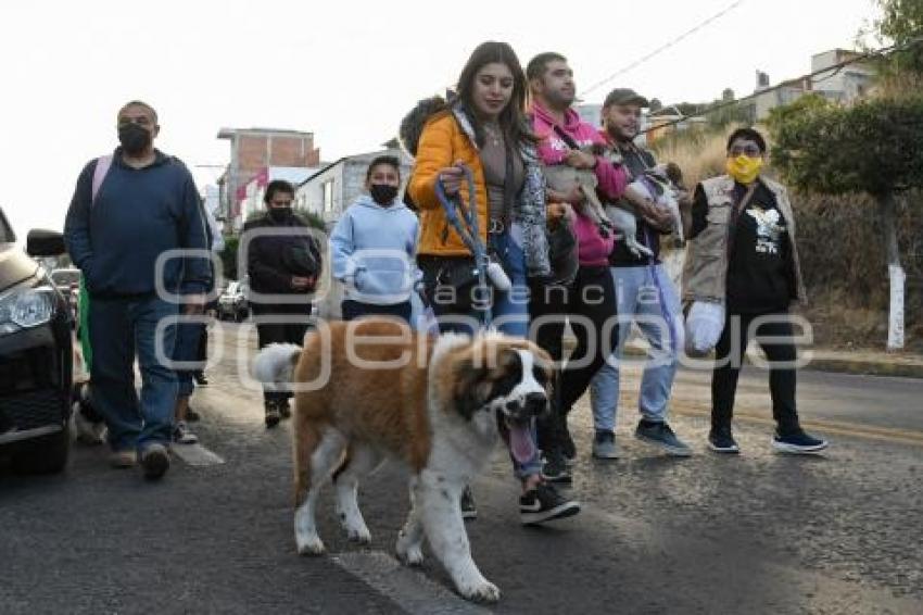 TLAXCALA . MANIFESTACIÓN MALTRATO ANIMAL