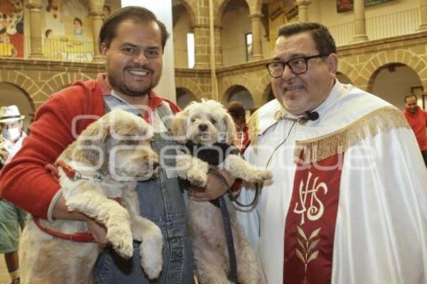 BENDICIÓN MASCOTAS
