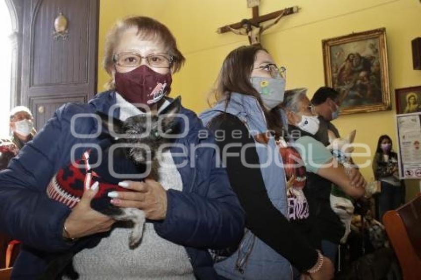 BENDICIÓN MASCOTAS
