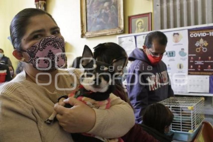 BENDICIÓN MASCOTAS