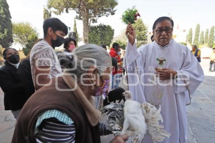 CACALOTEPEC . BENDICIÓN DE ANIMALES