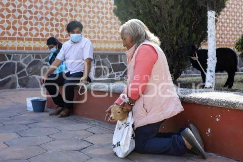 CACALOTEPEC . BENDICIÓN DE ANIMALES