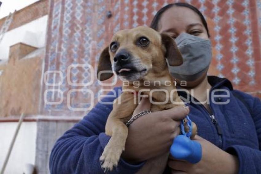 BENDICIÓN MASCOTAS
