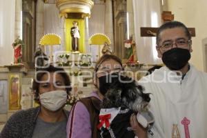 BENDICIÓN MASCOTAS
