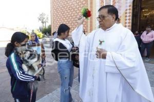 CACALOTEPEC . BENDICIÓN DE ANIMALES