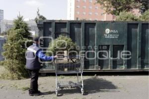 RECICLAJE . ÁRBOLES DE NAVIDAD