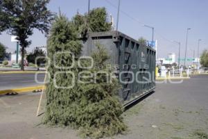 RECICLAJE . ÁRBOLES DE NAVIDAD