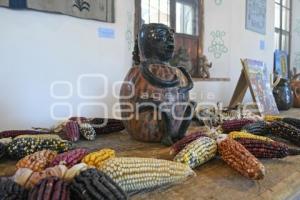 TLAXCALA . MUSEO DEL PULQUE