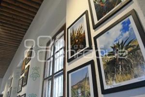 TLAXCALA . MUSEO DEL PULQUE