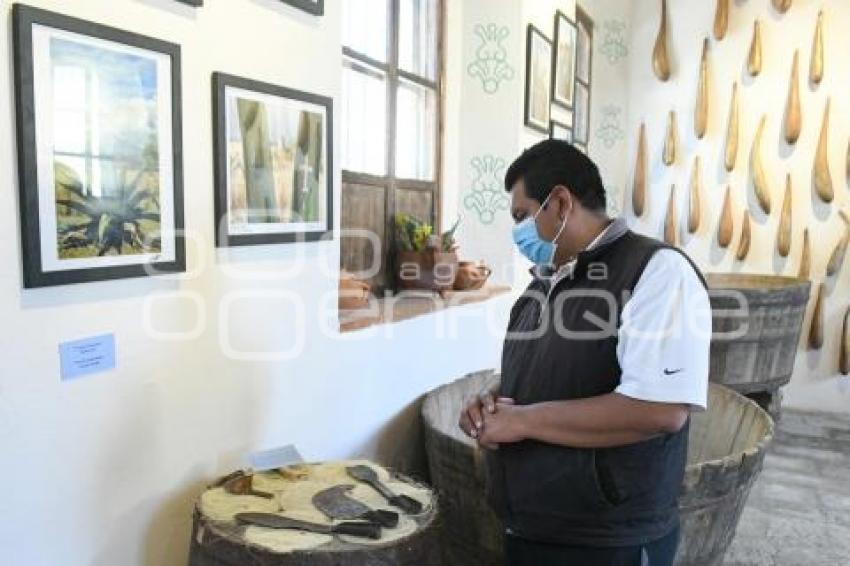 TLAXCALA . MUSEO DEL PULQUE