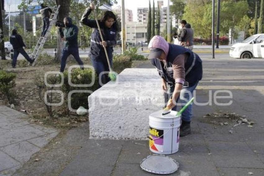 AYUNTAMIENTO . JORNADA DE LIMPIEZA