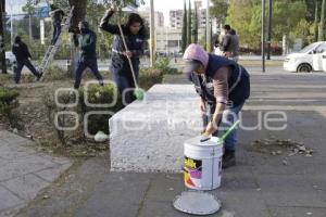 AYUNTAMIENTO . JORNADA DE LIMPIEZA