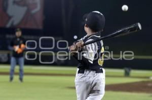 BÉISBOL . COPA PERIQUITOS 2023