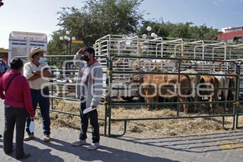 ACATLÁN . ENTREGA DE APOYOS