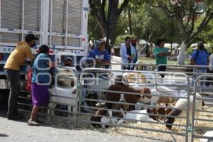 ACATLÁN . ENTREGA DE APOYOS