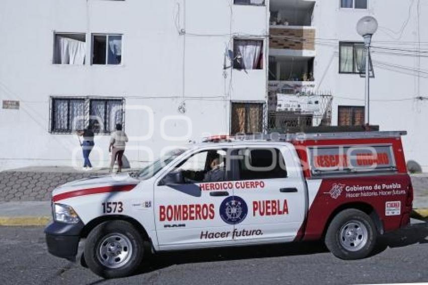LA MARGARITA . EXPLOSIÓN 