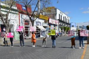 TEHUACÁN . MANIFESTACIÓN FAMILIA DE DIANA N