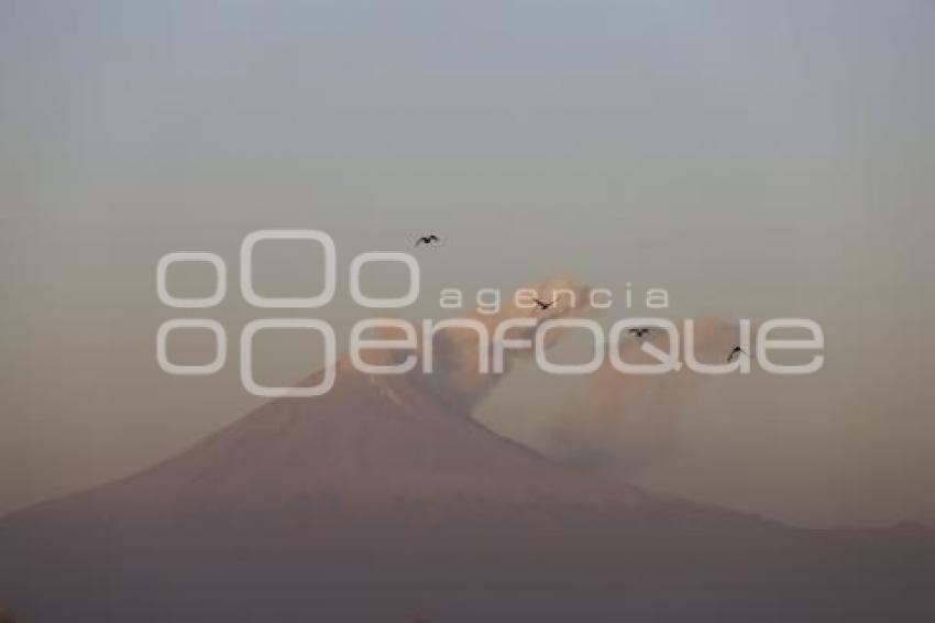 VOLCÁN POPOCATÉPETL . FUMAROLA