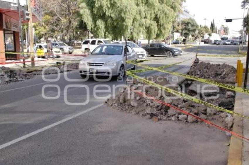 AYUNTAMIENTO . DELIMITADORES ESTACIONAMIENTO