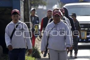 AUTOPISTA . PEREGRINOS