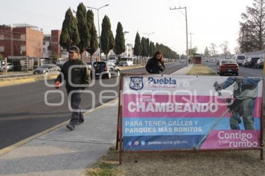 AYUNTAMIENTO . JORNADA DE LIMPIEZA