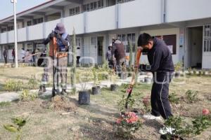 SAN ANDRÉS CHOLULA . JORNADA DE REFORESTACIÓN