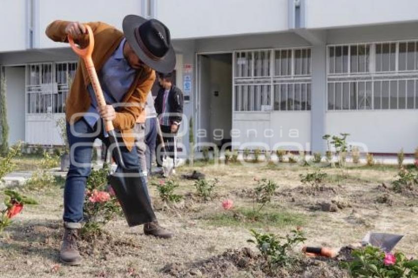 SAN ANDRÉS CHOLULA . JORNADA DE REFORESTACIÓN