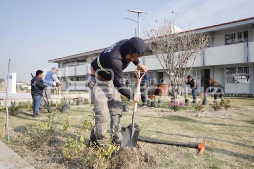 SAN ANDRÉS CHOLULA . JORNADA DE REFORESTACIÓN