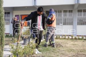 SAN ANDRÉS CHOLULA . JORNADA DE REFORESTACIÓN