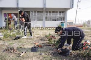 SAN ANDRÉS CHOLULA . JORNADA DE REFORESTACIÓN