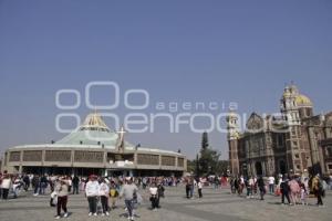 PEREGRINACIÓN ANUAL . BASÍLICA DE GUADALUPE