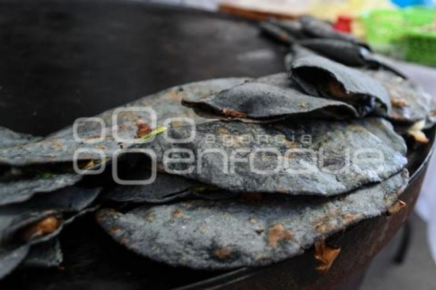 TLAXCALA . QUESADILLAS DE NOPALUCAN 